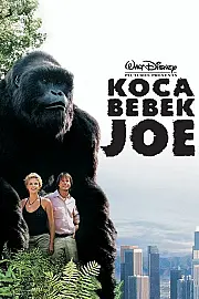 Koca Bebek Joe Film Posteri