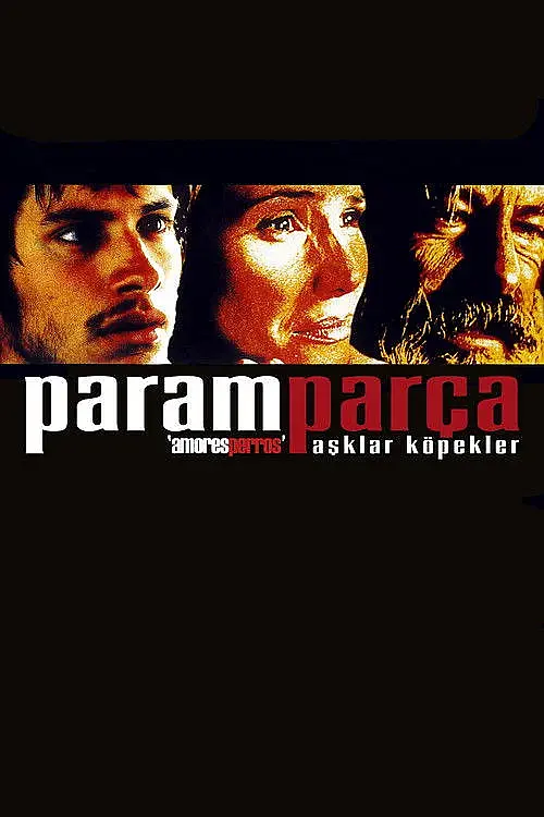 Paramparça Aşklar Köpekler (2000) İzle