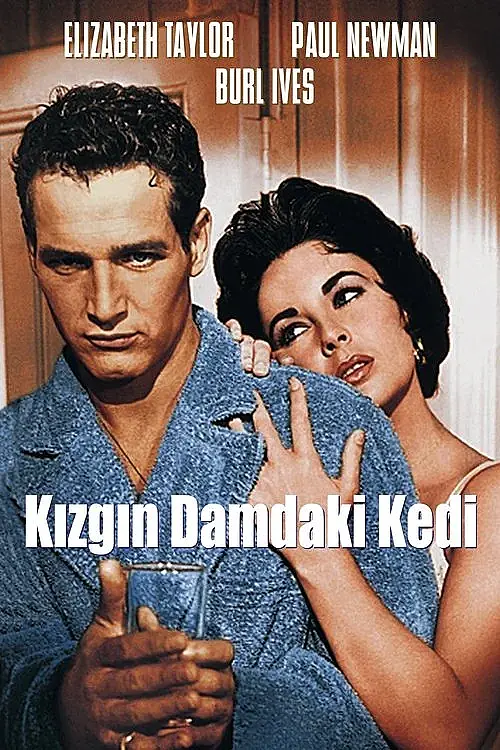 Kızgın Damdaki Kedi (1958) İzle