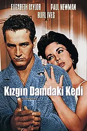 Kızgın Damdaki Kedi Film Posteri
