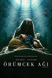 Örümcek Ağı Film Posteri