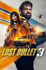 Lost Bullet 3 Film Posteri