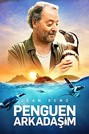 Penguen Arkadaşım Film Posteri