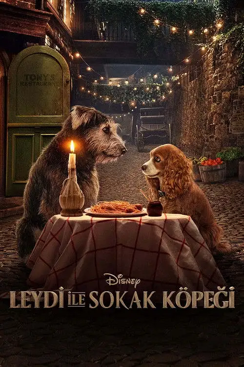 Lady ile Sokak Köpeği (2019) İzle