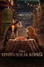Lady ile Sokak Köpeği Film Posteri