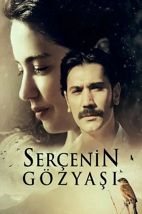 Serçenin Gözyaşı (2023) İzle