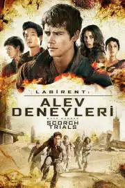 Labirent: Alev Deneyleri Film Posteri