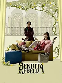 Accidental Blessings Film Posteri