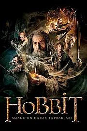 Hobbit: Smaug'un Çorak Toprakları Film Posteri
