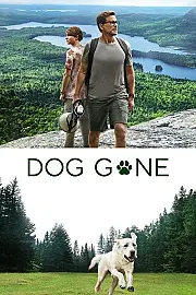 Kayıp Köpek Film Posteri