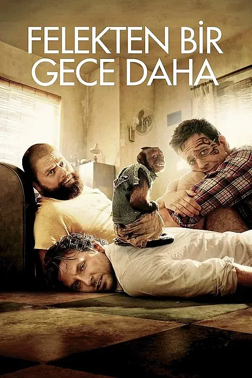 Felekten Bir Gece Daha (2011) İzle